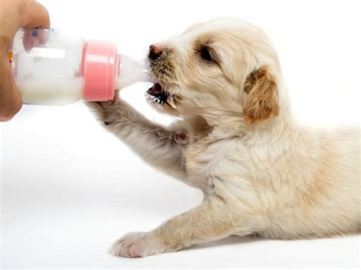Can I keep adding breast milk to the same bottle?