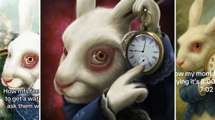 Can I leave my rabbit out at night?