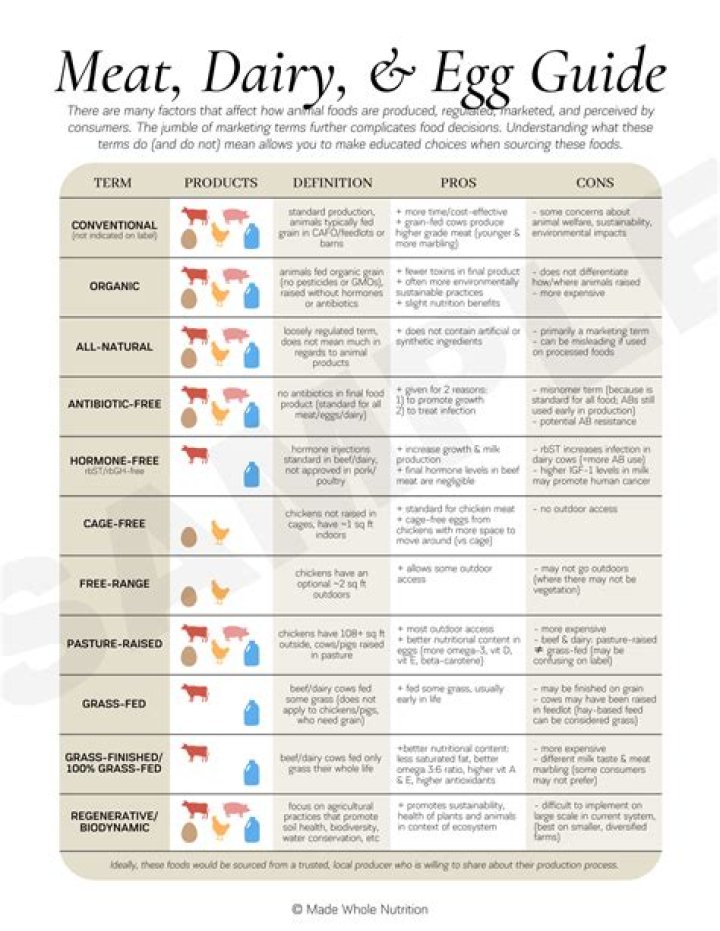Can I replace meat with eggs?