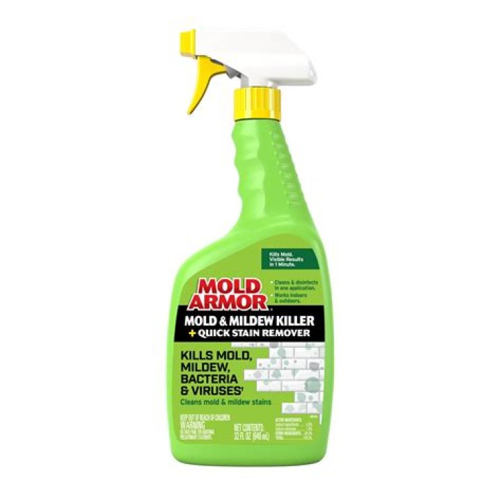 Can I spray vinegar on mold and leave it?