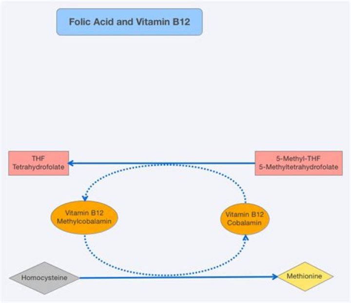Can I take B12 and folic acid together?