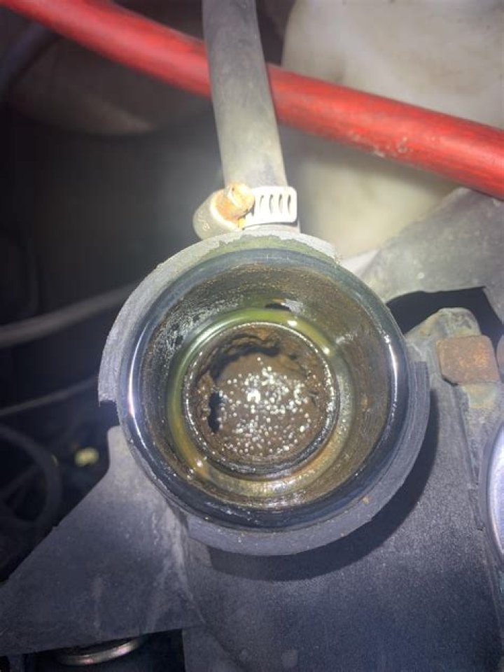 Can I use rain water in my radiator?