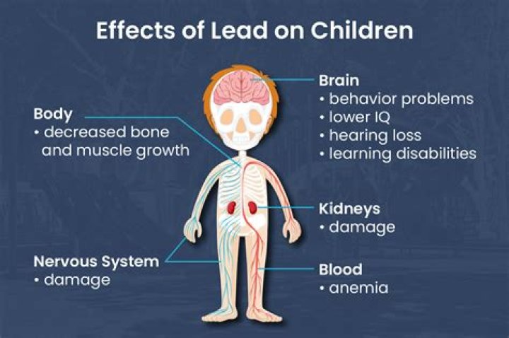 Can lead poisoning be cured?