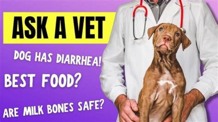 Can Milk Bones cause diarrhea in dogs?