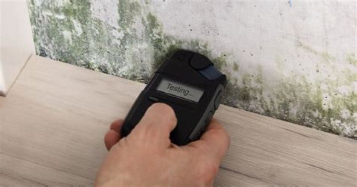 Can mold grow under vinyl flooring on concrete?