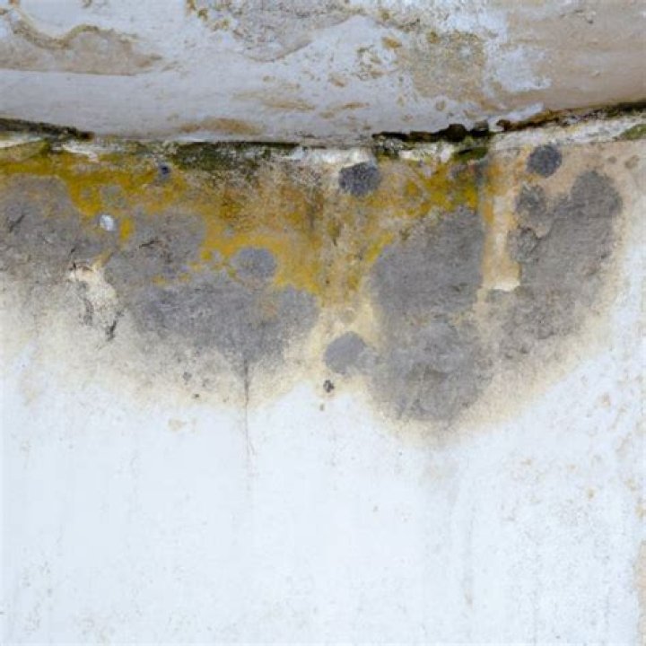 Can mold travel through walls?