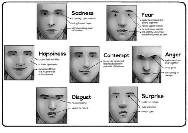 Can narcissists read facial expressions?