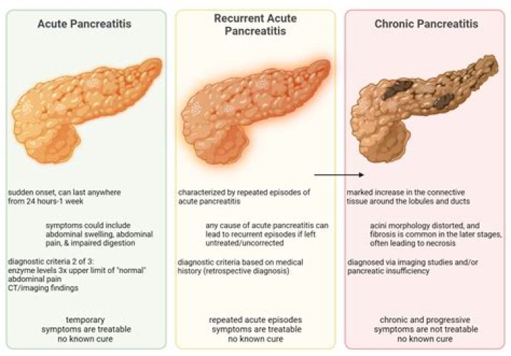 Can pancreatitis last for months?
