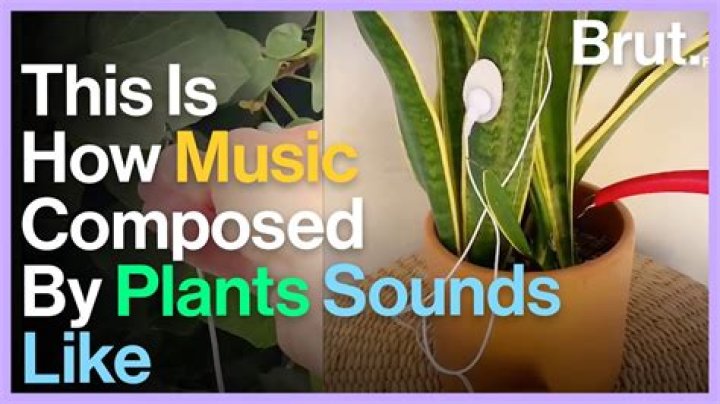 Can plants hear music?