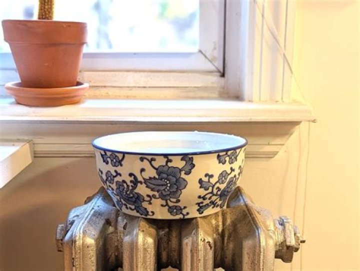 Can putting a bowl of water humidify a room?