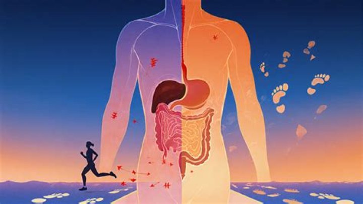 Can running reduce belly?