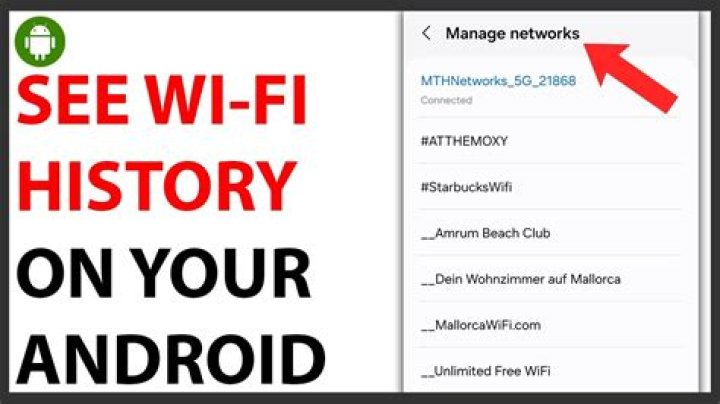 Can someone see my youtube history if I use their Wi-Fi?