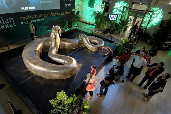 Can Titanoboa come back?