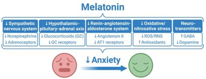 Can too much serotonin cause anxiety?