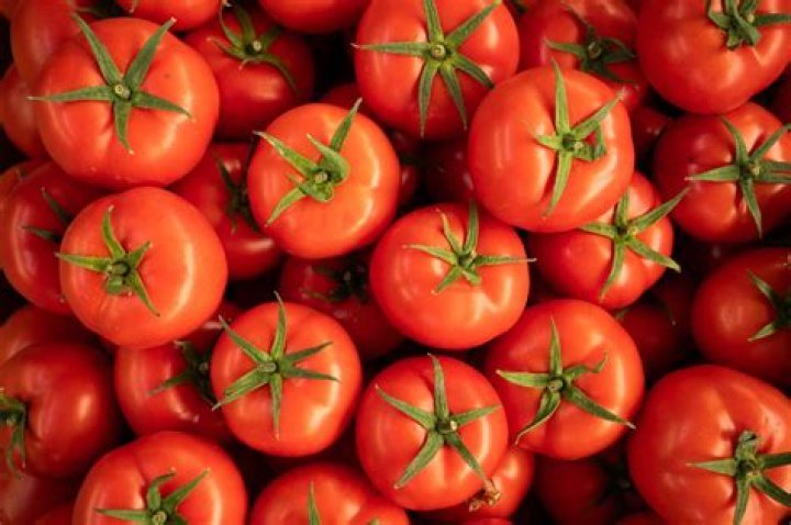 Can Type O eat tomatoes?