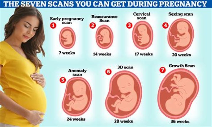 Can u feel pregnant after 2 days?