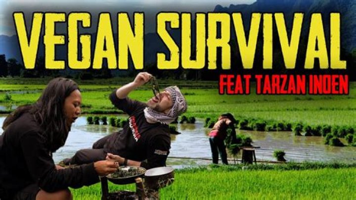 Can vegans survive?