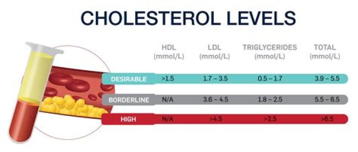 Can vitamin D reduce cholesterol levels?