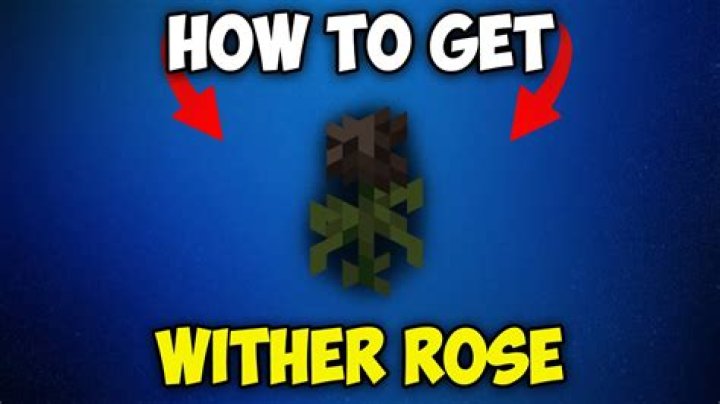 Can you bonemeal a wither Rose?