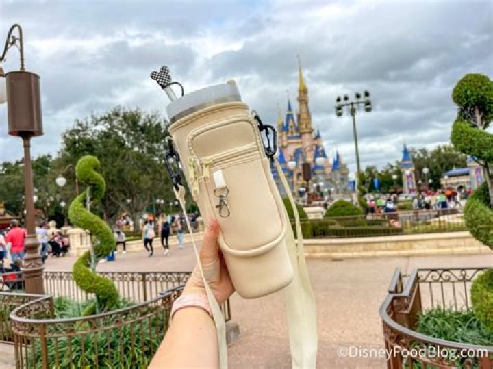 Can you bring Yeti cups into Disney?