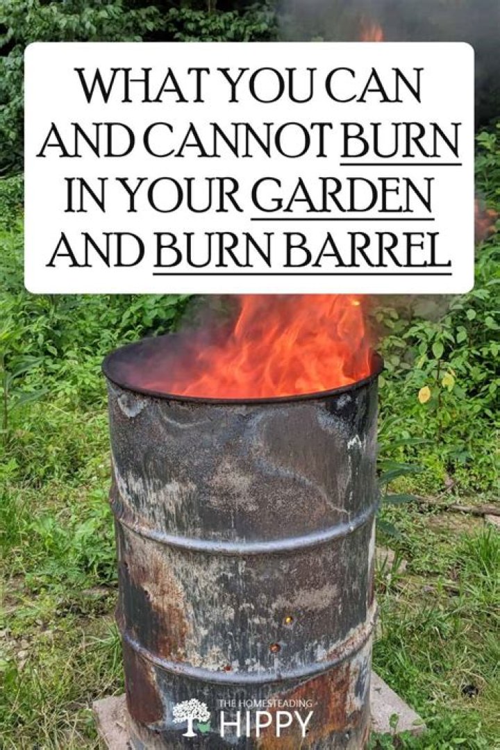 Can you burn a roach?