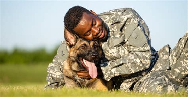 Can you claim your dog as a dependent?