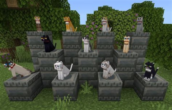 Can you dye cats in Minecraft?