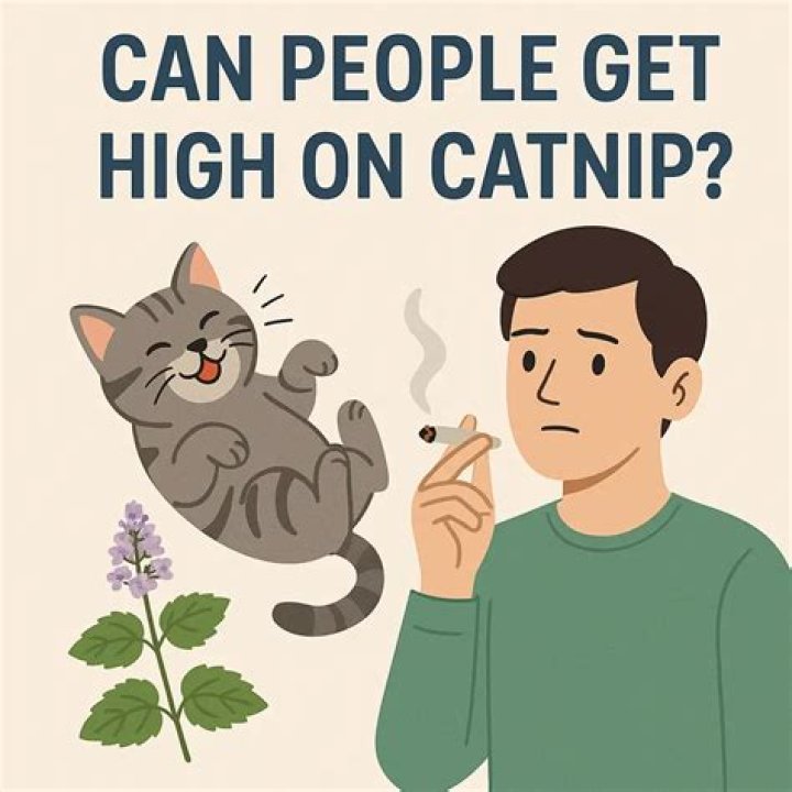 Can you get high off moon flowers?