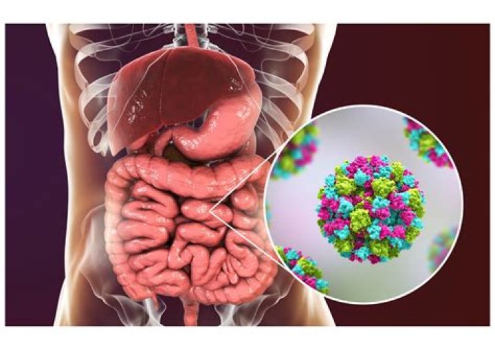 Can you get norovirus twice?