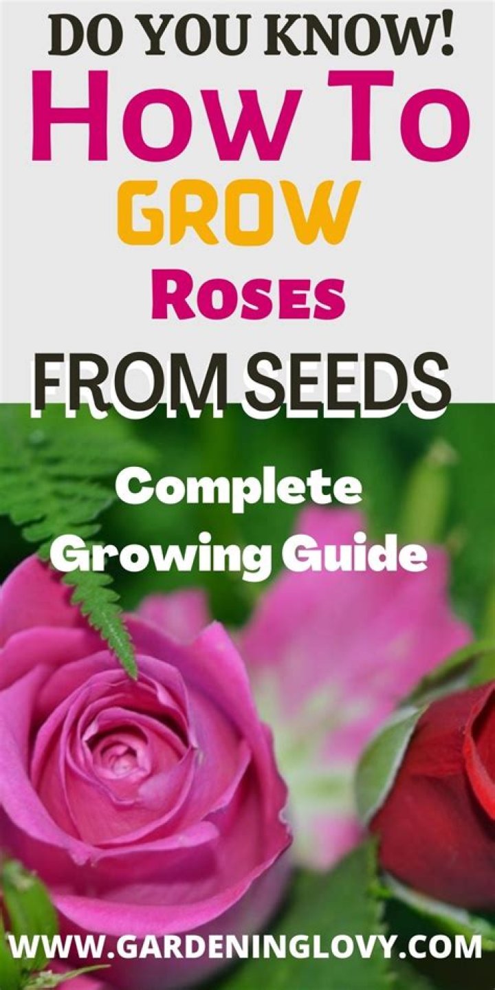 Can you grow at 15?