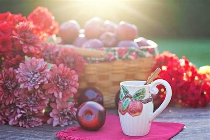 Can you have apple cider vinegar on Daniel Fast?