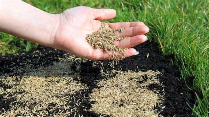 Can you lay topsoil over grass then turf?