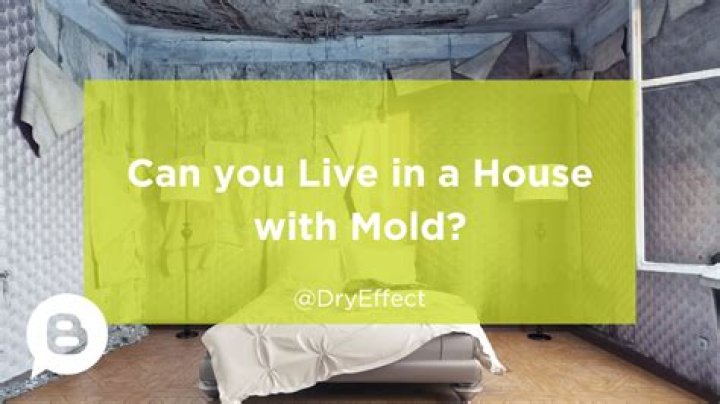 Can you live in a house with mold?