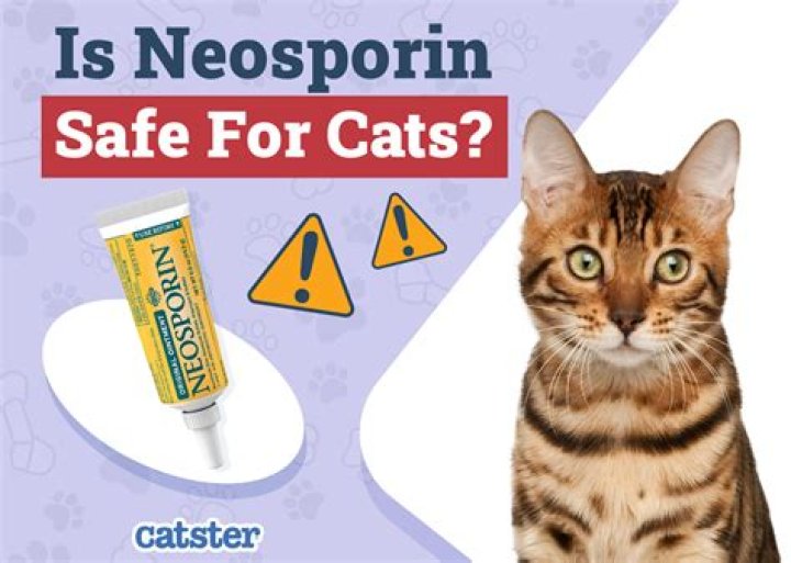 Can you put Neosporin on scabies?