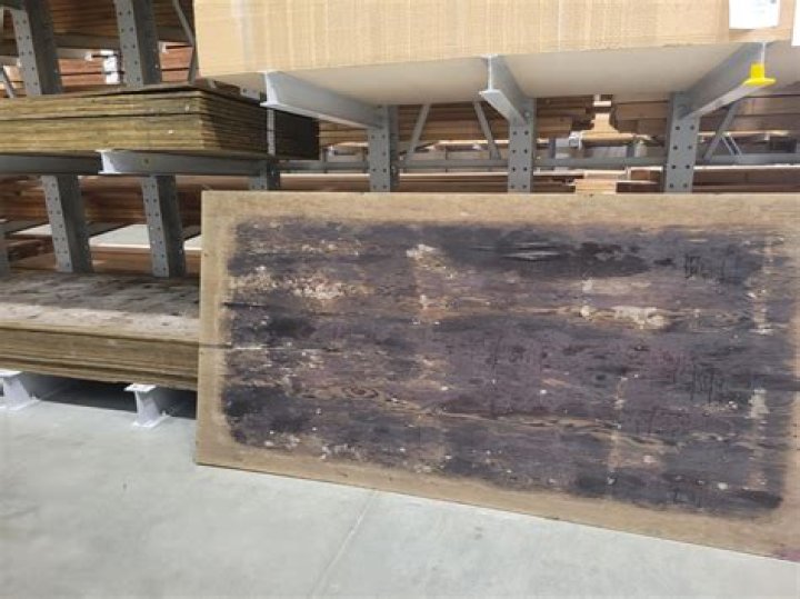 Can you save moldy plywood?