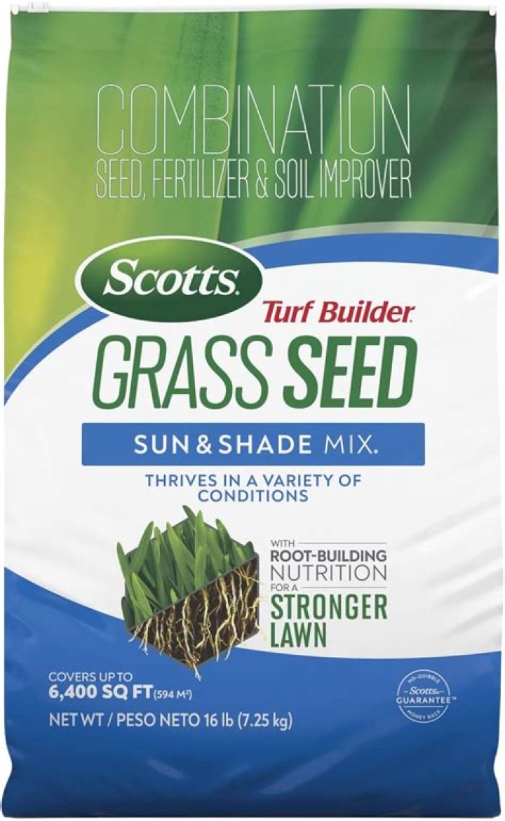 Can you seed grass on top of grass?