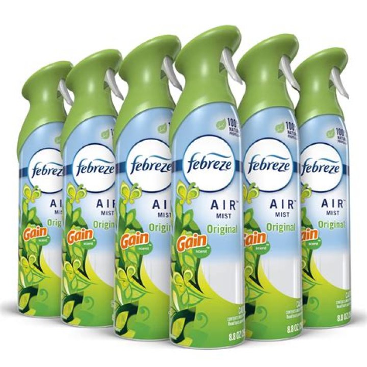 Can you spray Febreze in shoes?