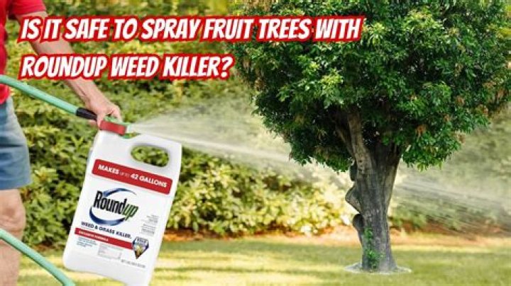 Can you spray vinegar around trees?