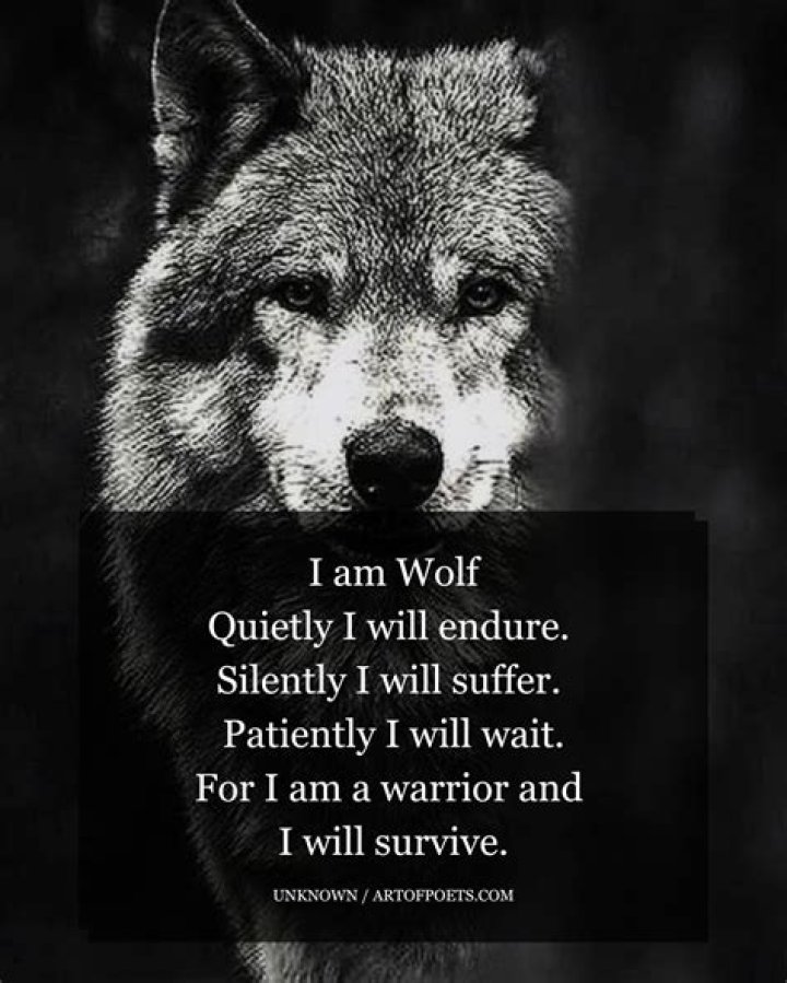 Can you survive lone wolf?