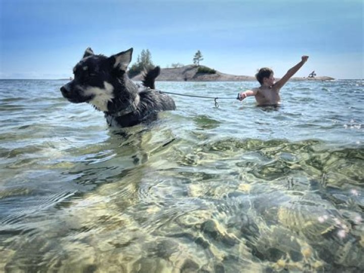 Can you swim in Lake Superior?