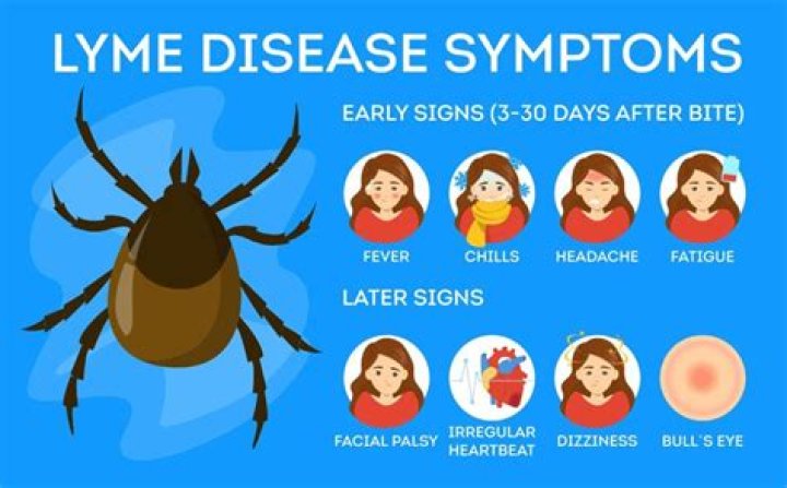 Can you tell if a tick has Lyme disease?