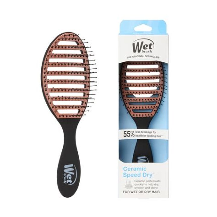 Can you use Revlon hot air brush on dry hair?