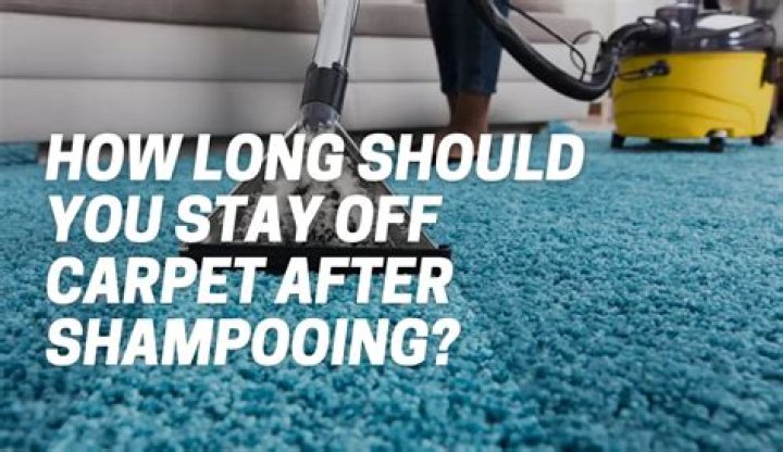 Can you walk on a carpet after shampooing?