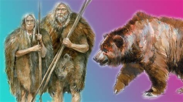 Did ancient people take naps?