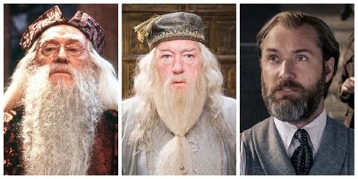 Did Dumbledore know Credence was his brother?