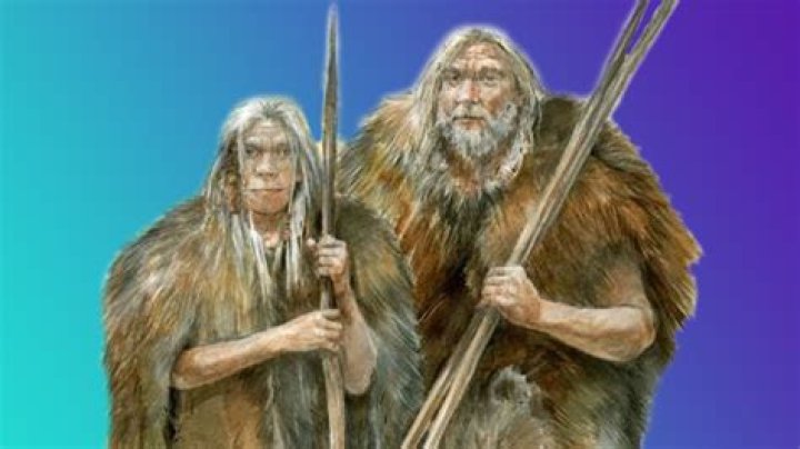 Did early humans wipe?