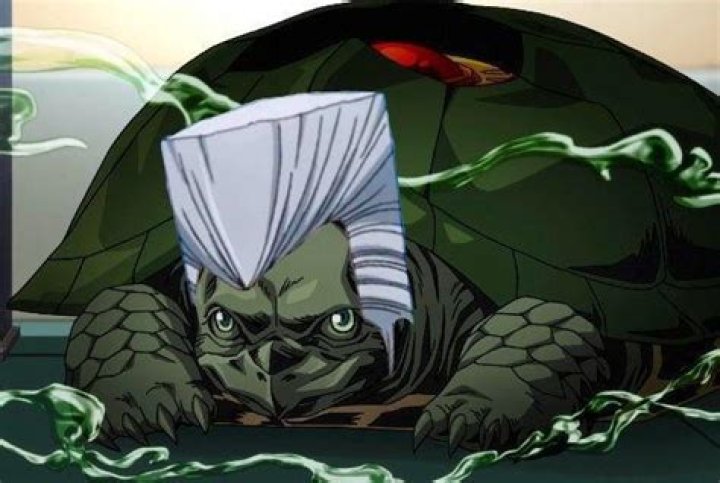 Did Polnareff become a turtle?