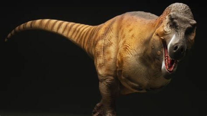 Did T. rex actually roar?