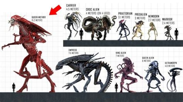 Did the Predators create the xenomorphs?