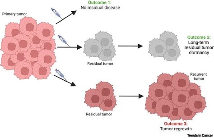 Do abnormal cells come back after LEEP?